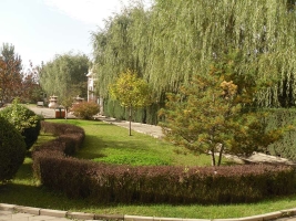 高静园公墓环境